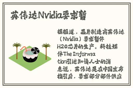 番茄视频在线播放免费观看